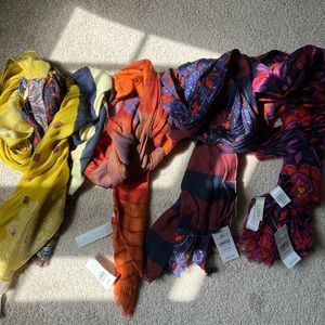 Ann Taylor loft lot of 4 scarves